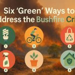 Six Green Ways to Address the Bushfire Crisis